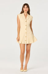 Diannie Tweed Mini Dress
